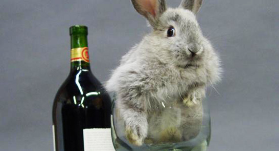 easter-bunny-with-wine.jpg